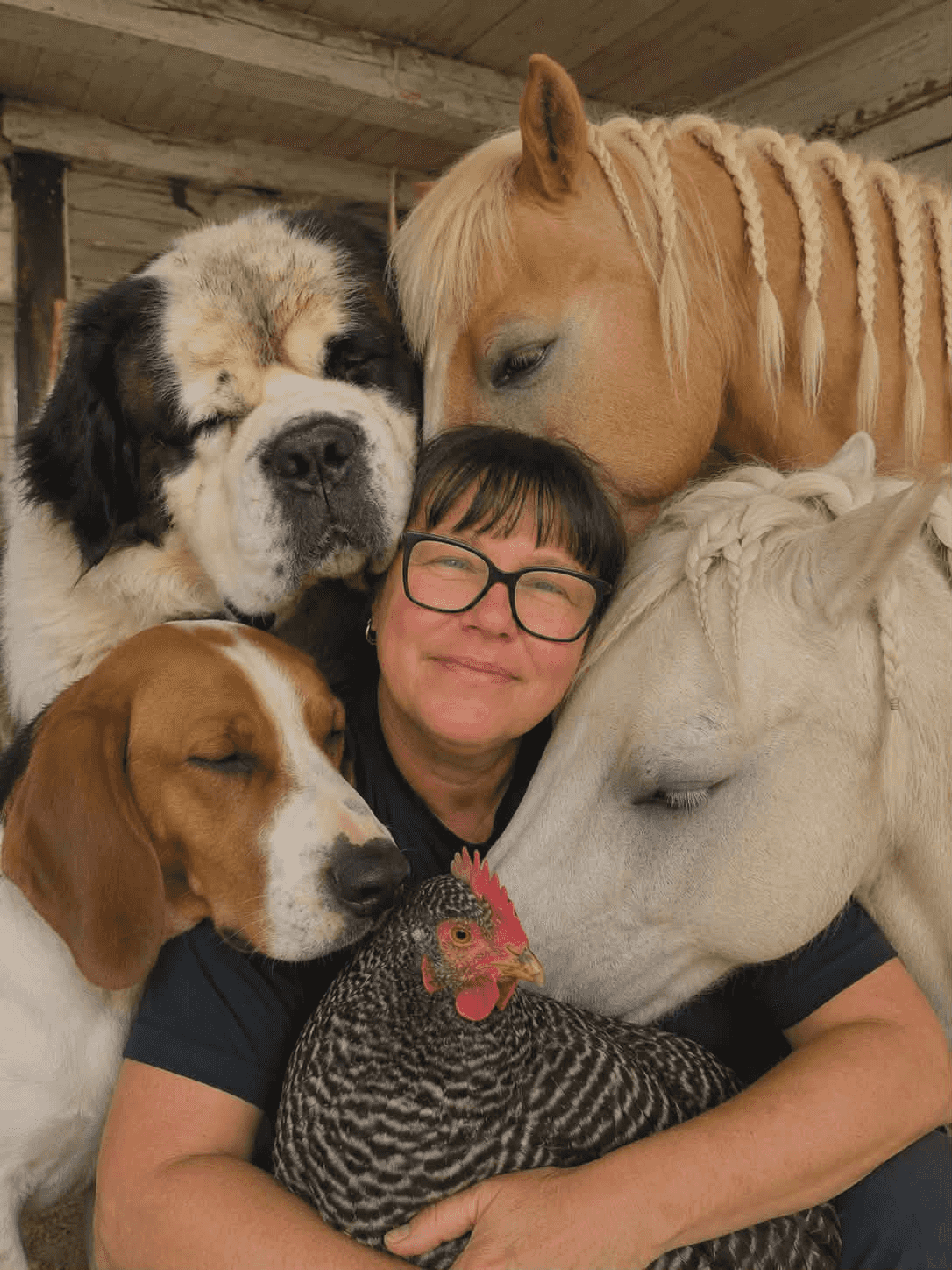 Ulrica Abrahamsson tillsammans med hästar, hundar och en höna
